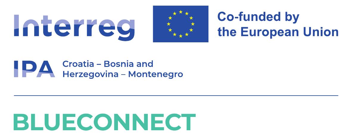 BlueConnect Logo