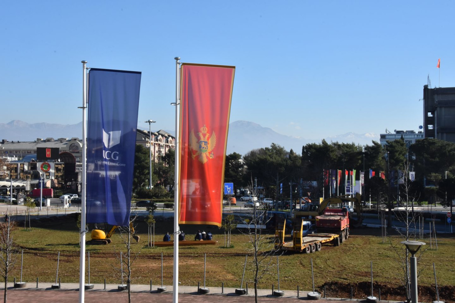 Univerzitet Crne Gore