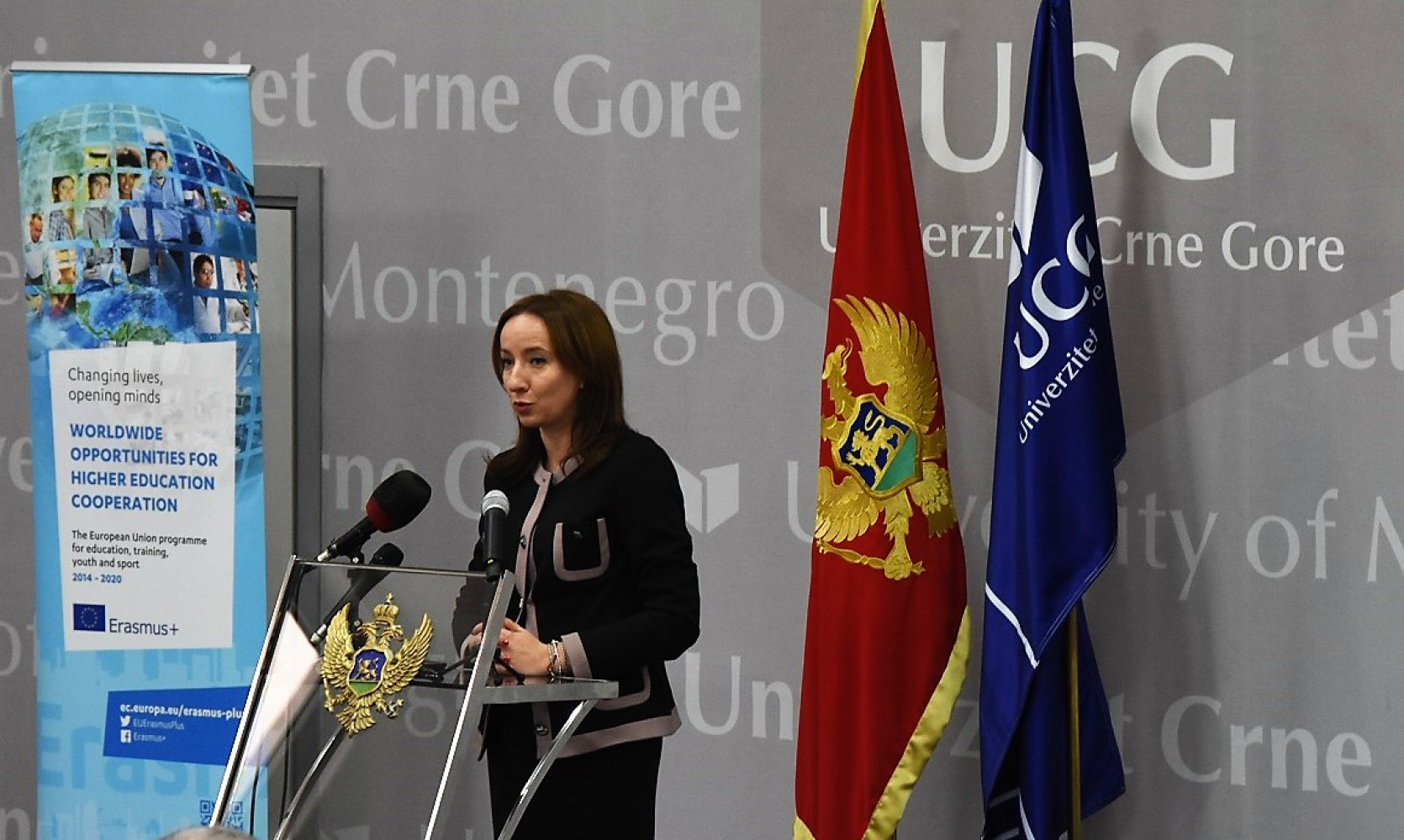 Univerzitet Crne Gore