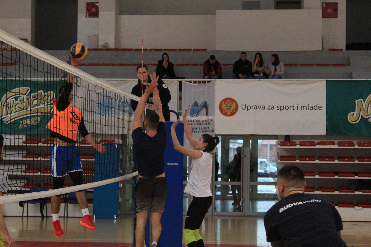 Univerzitet Crne Gore