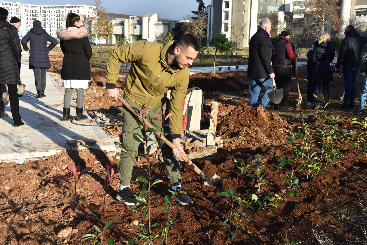 Univerzitet Crne Gore