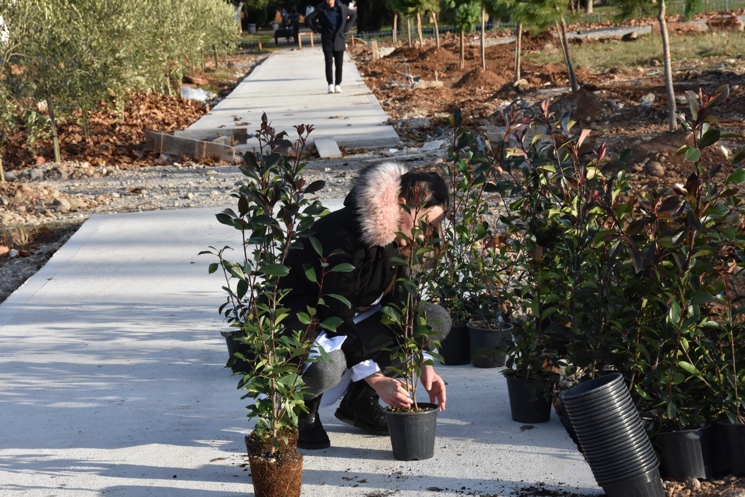 Univerzitet Crne Gore