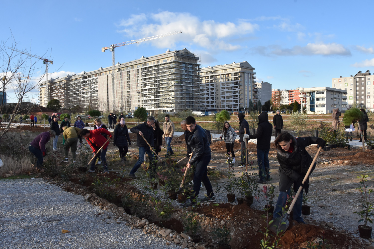 Univerzitet Crne Gore