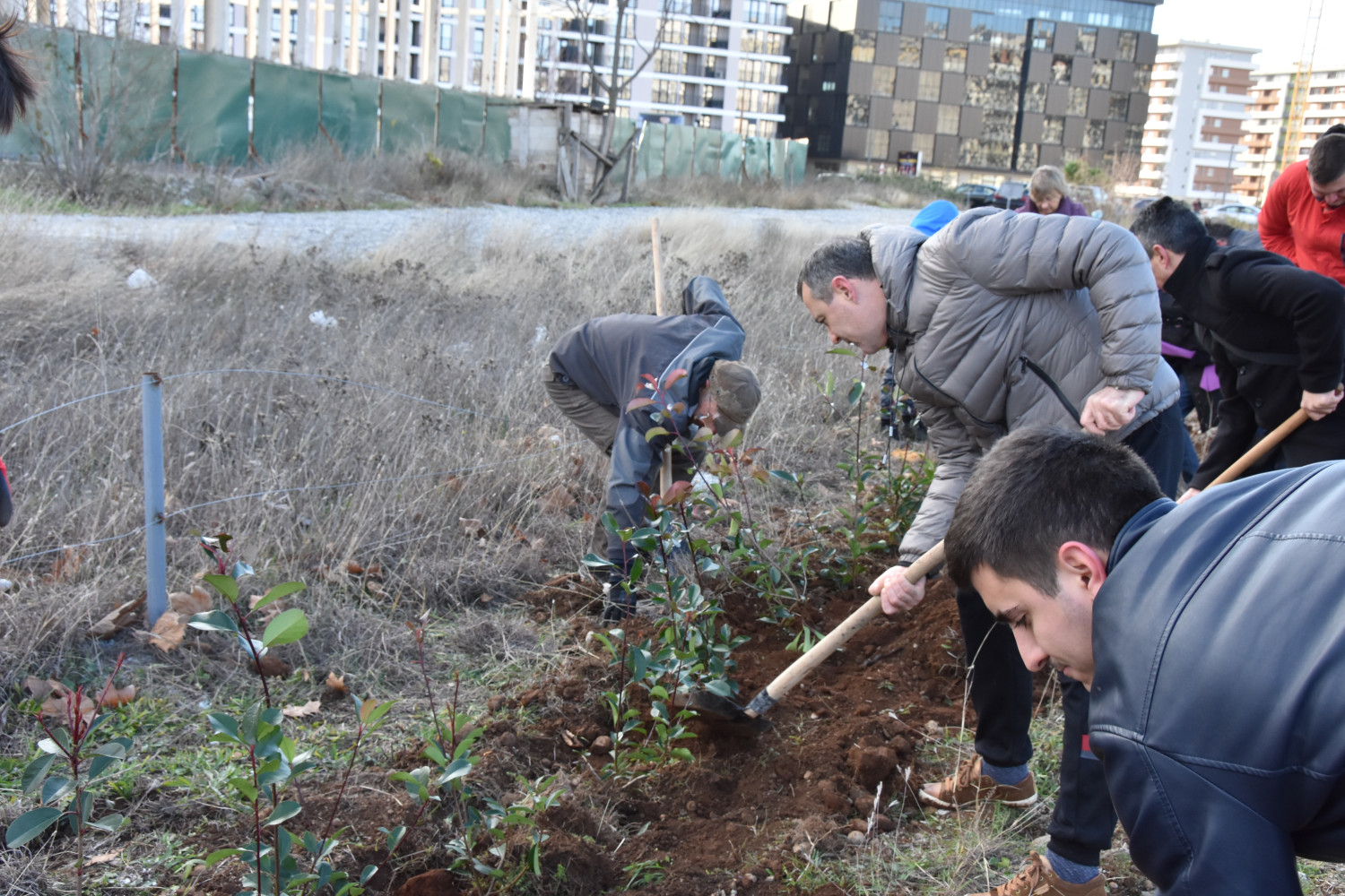 Univerzitet Crne Gore