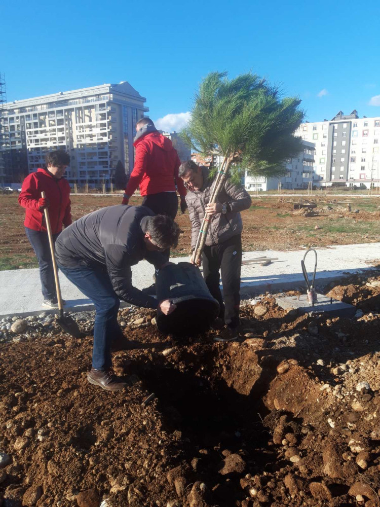 Univerzitet Crne Gore