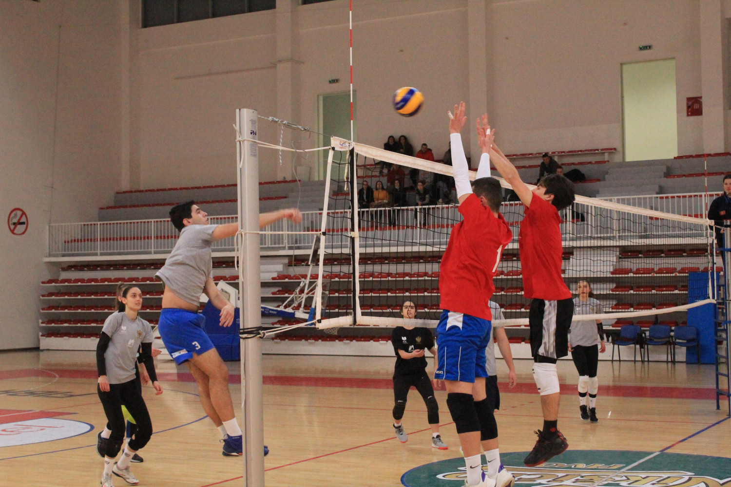 Univerzitet Crne Gore