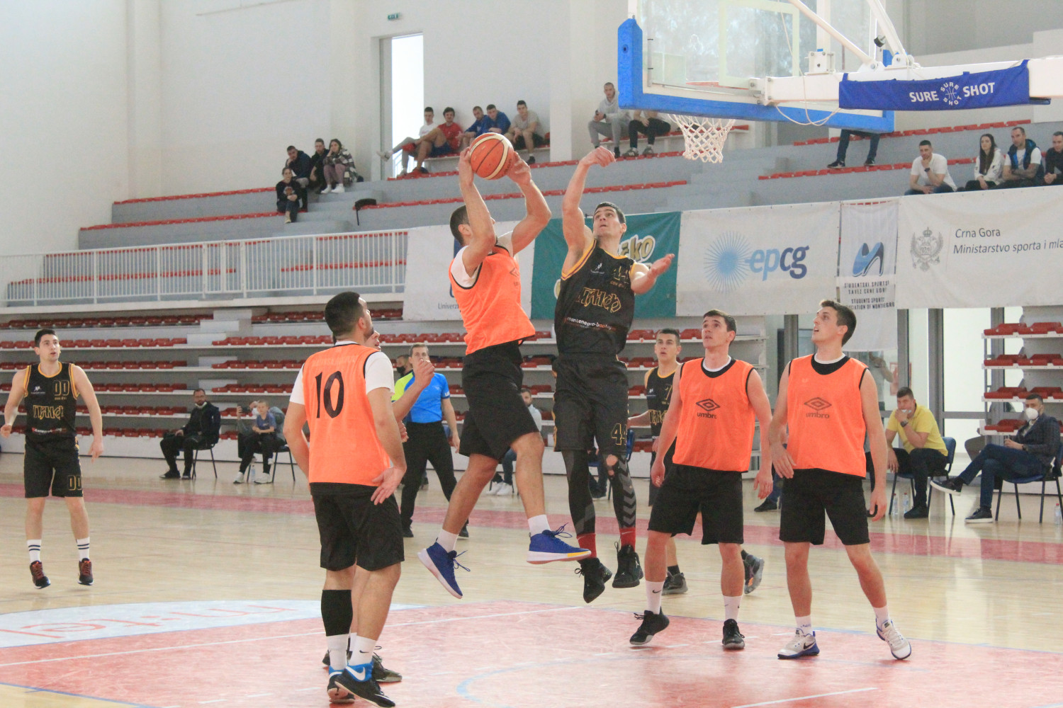 Univerzitet Crne Gore