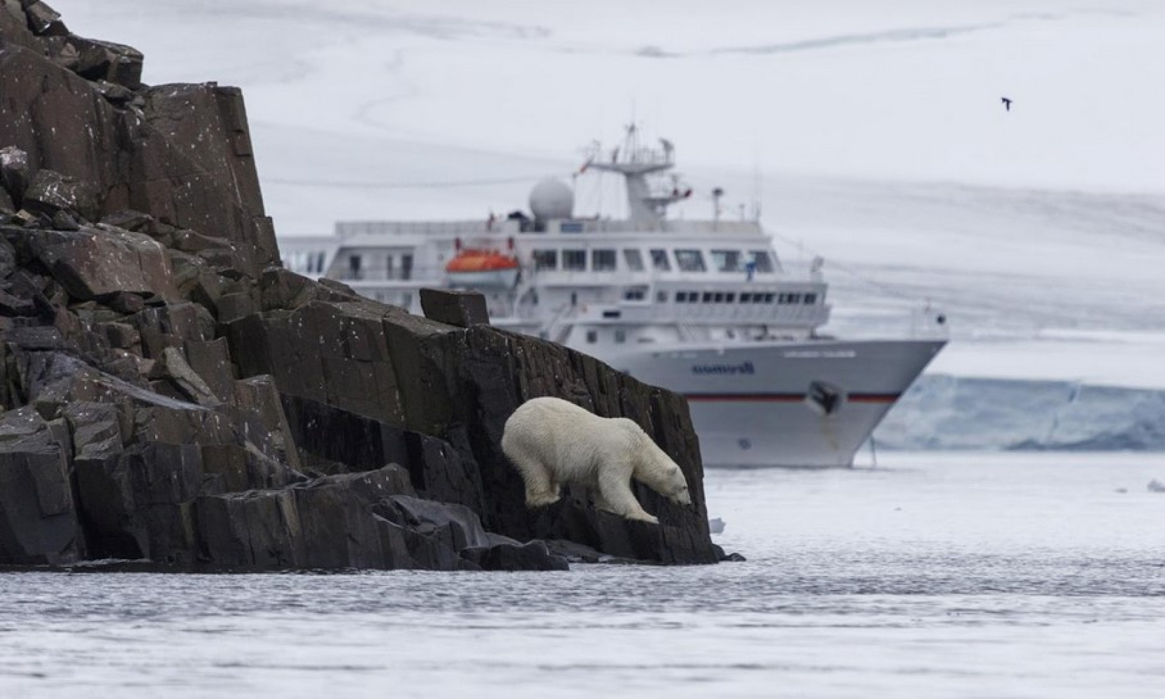 Univerzitet Crne Gore