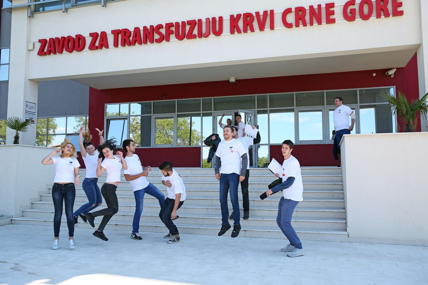 Univerzitet Crne Gore