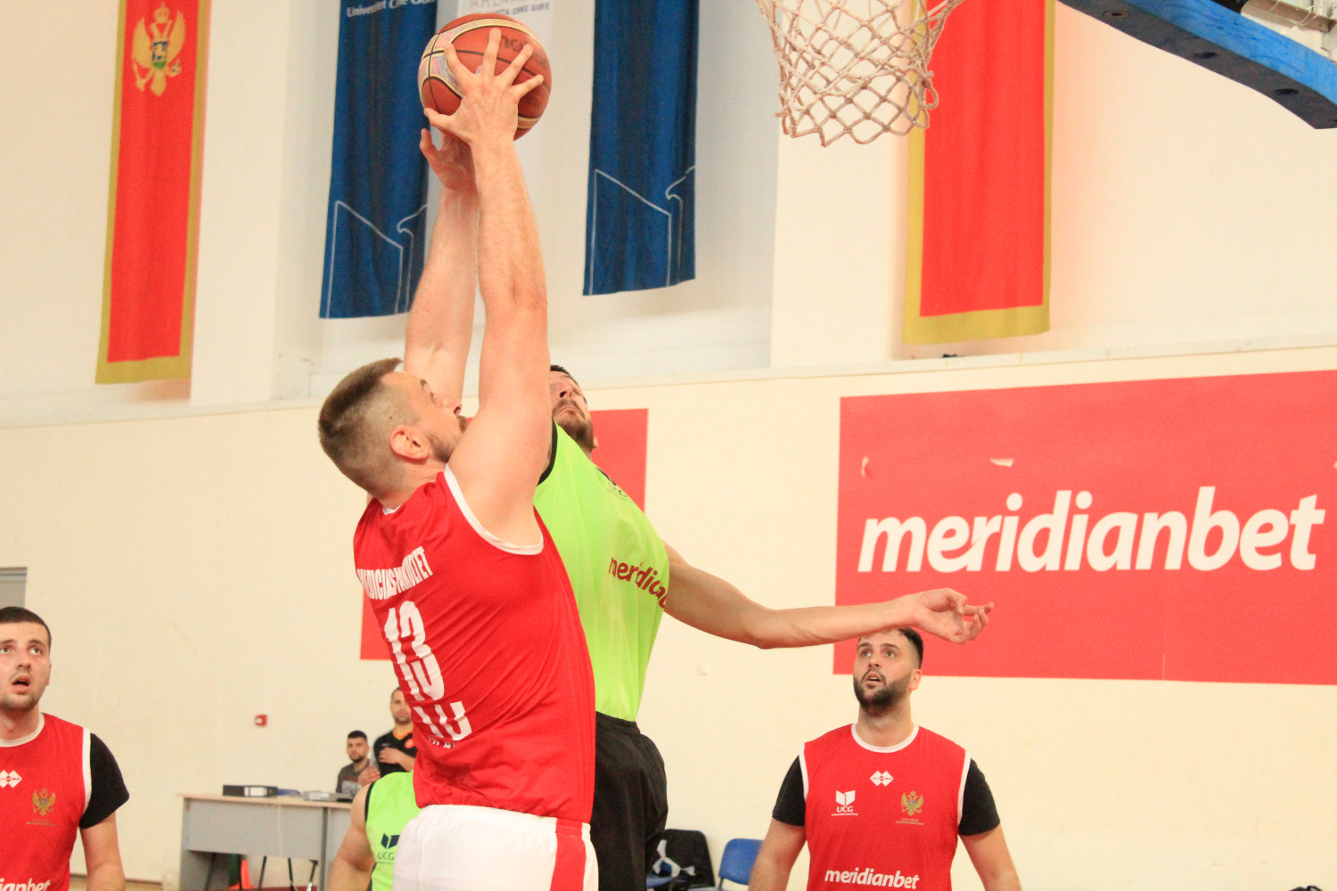 Univerzitet Crne Gore