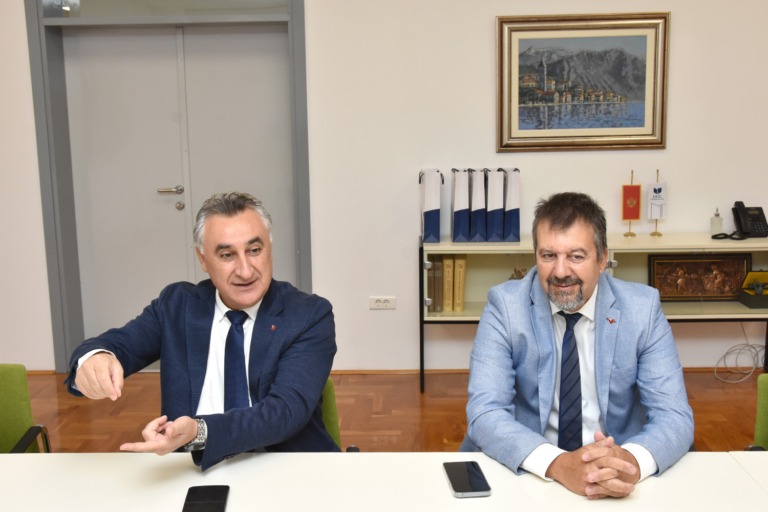 Univerzitet Crne Gore