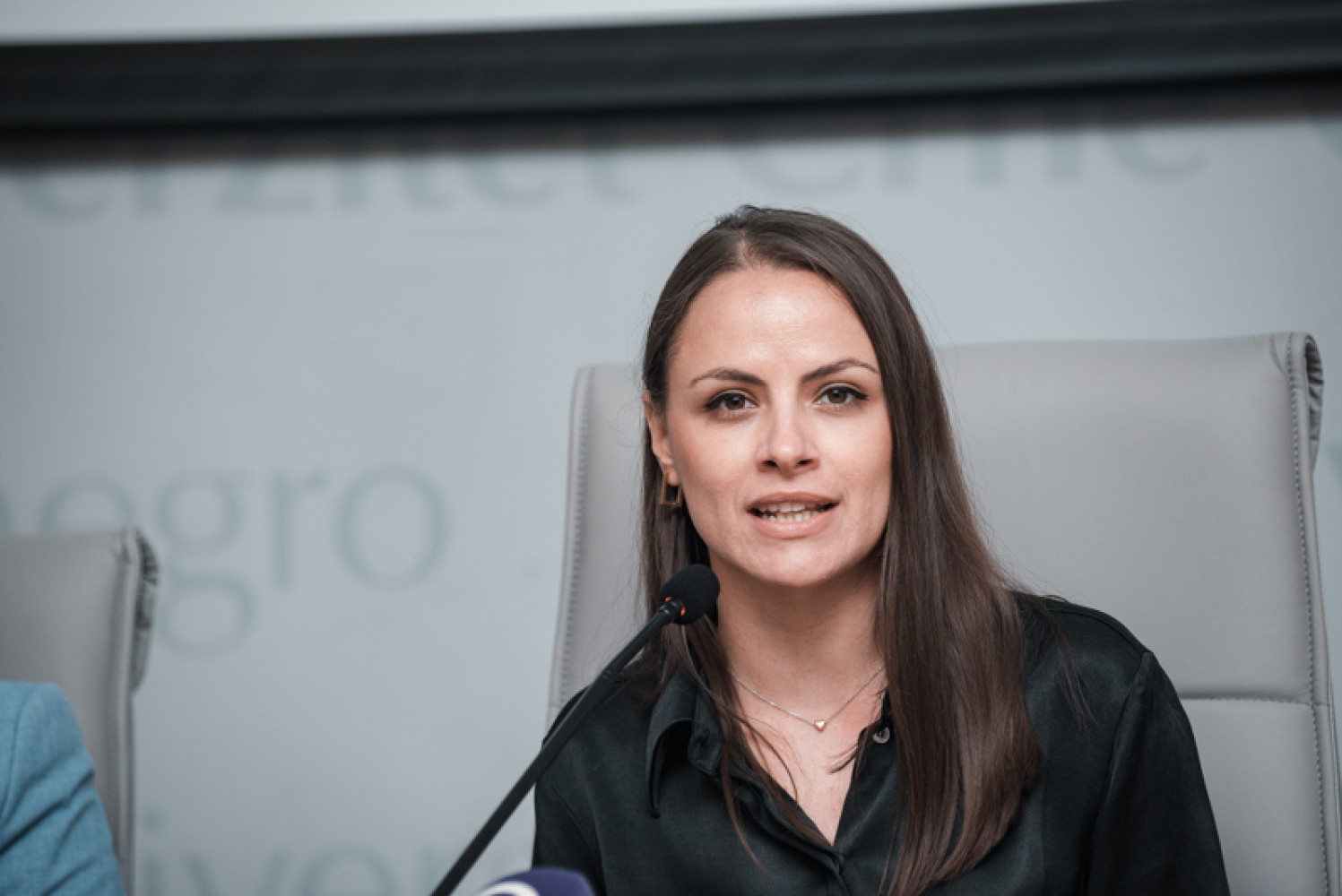 Univerzitet Crne Gore