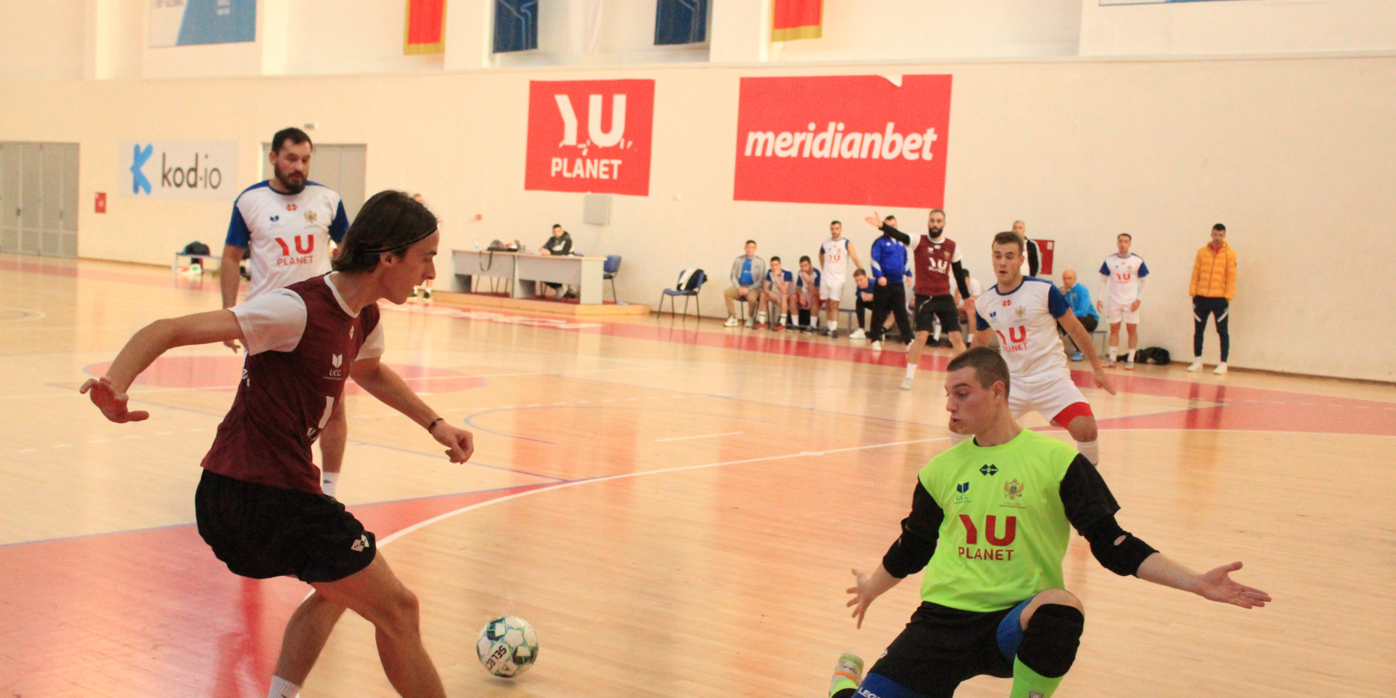 Univerzitet Crne Gore