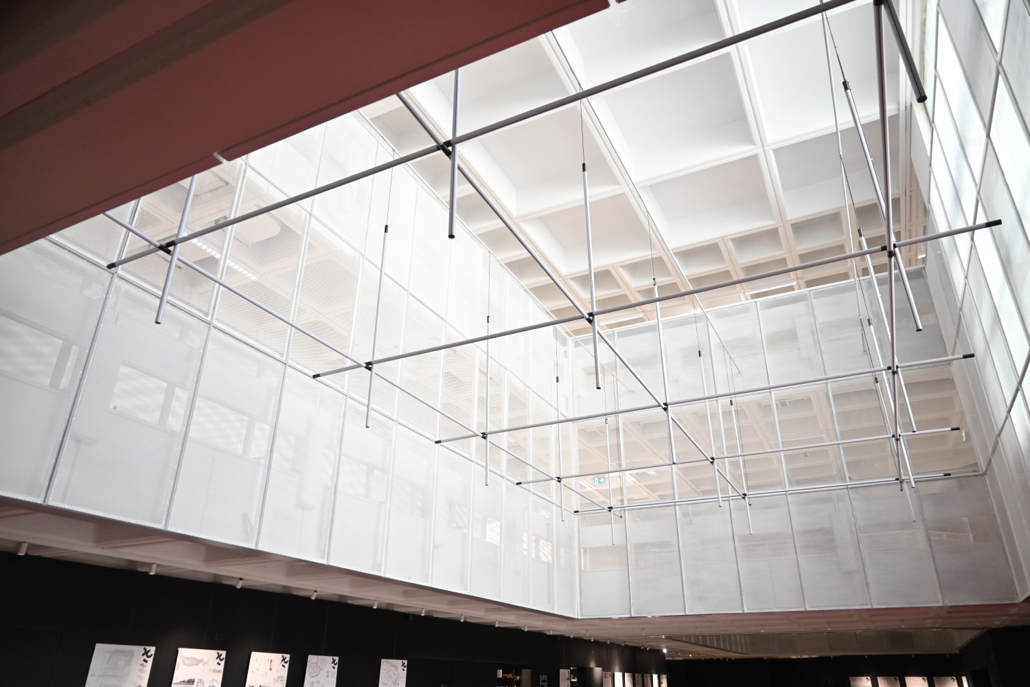 Univerzitet Crne Gore