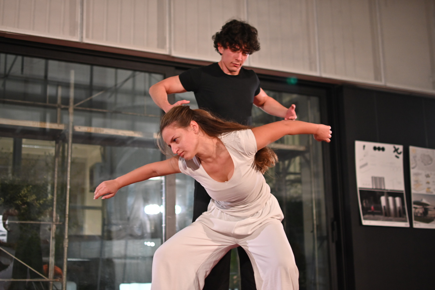 Univerzitet Crne Gore