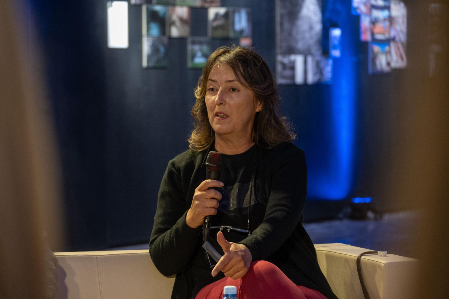 Univerzitet Crne Gore