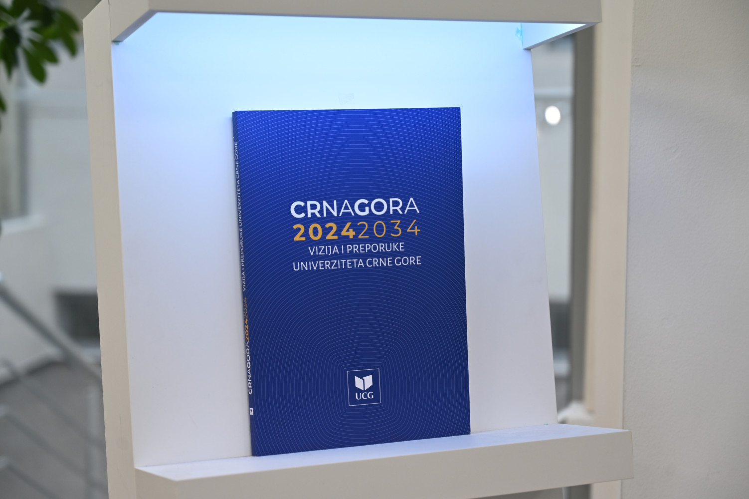 Univerzitet Crne Gore