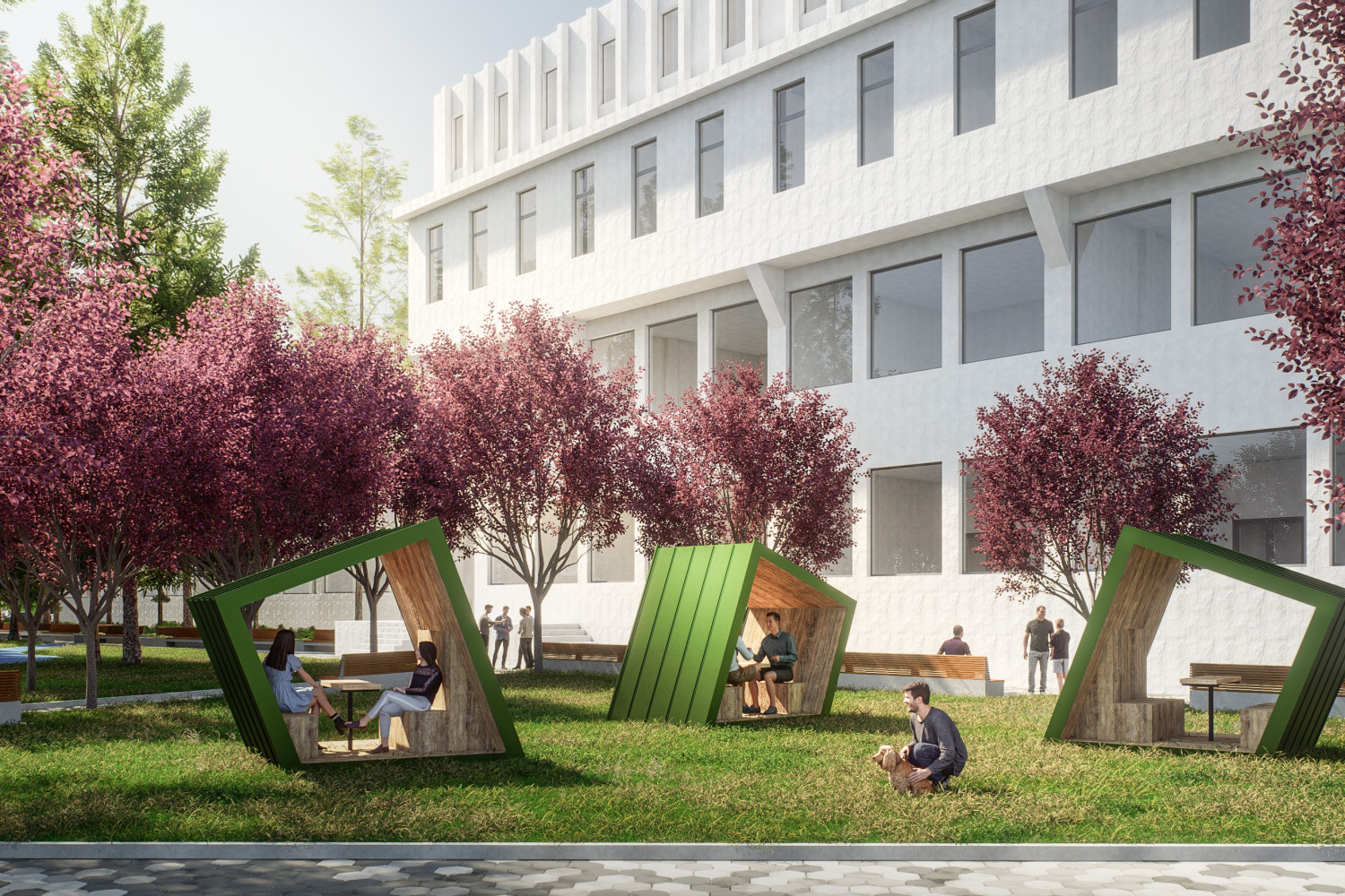 Univerzitet Crne Gore