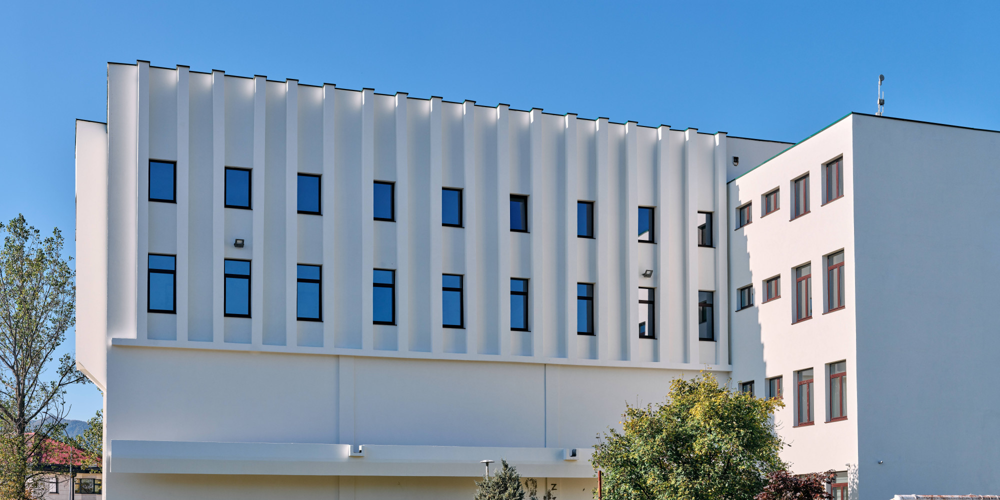 Univerzitet Crne Gore