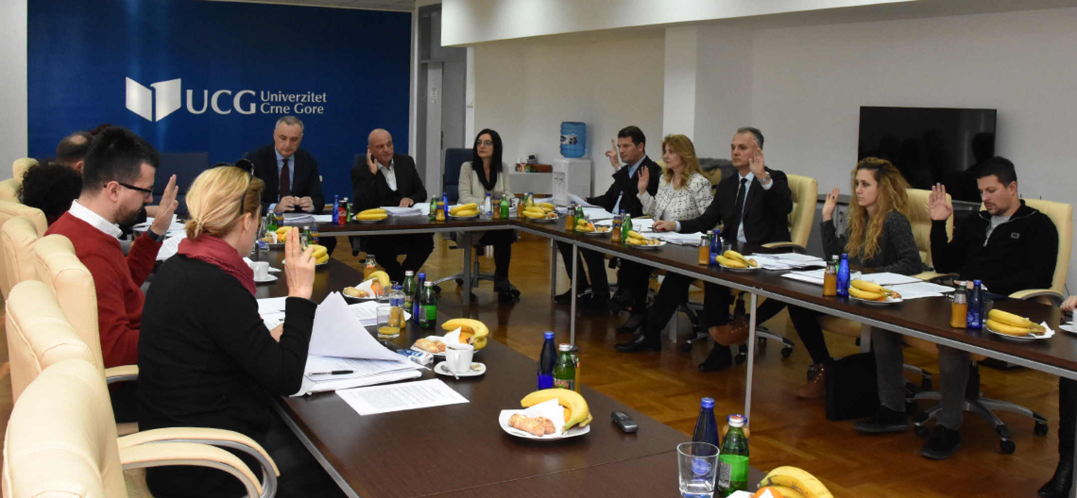 Univerzitet Crne Gore