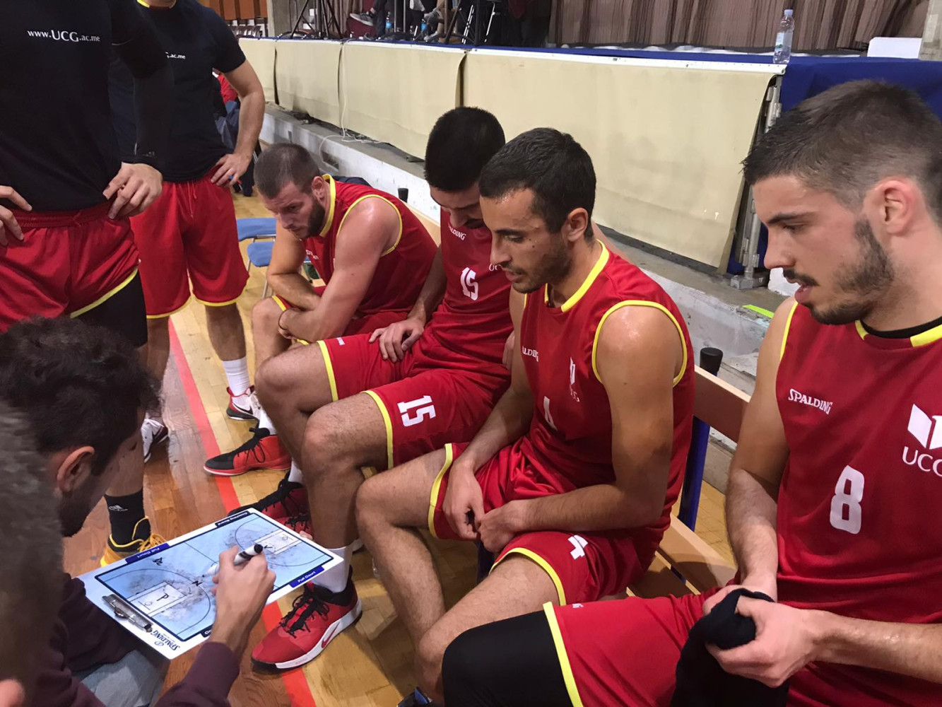 Univerzitet Crne Gore