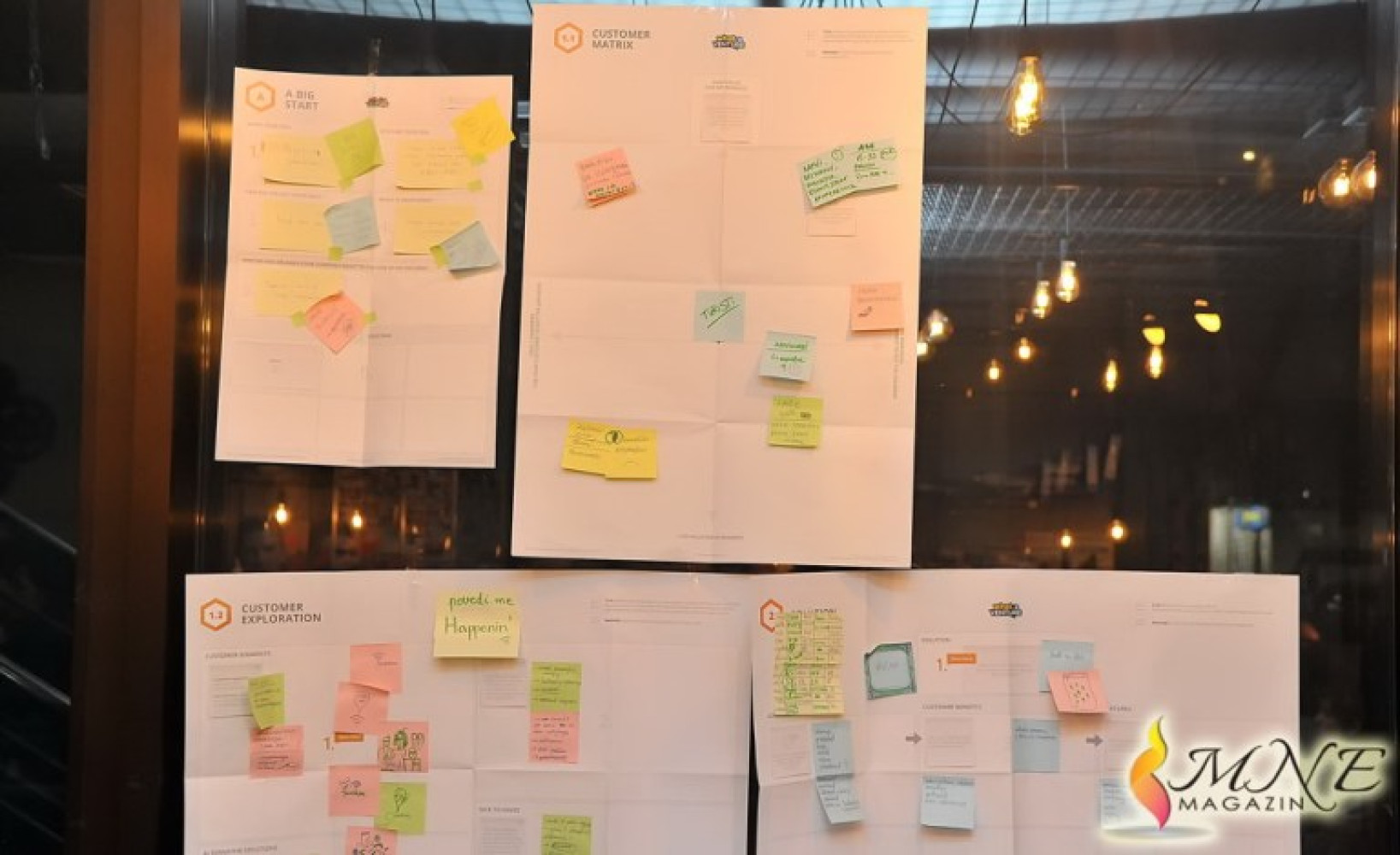 Univerzitet Crne Gore