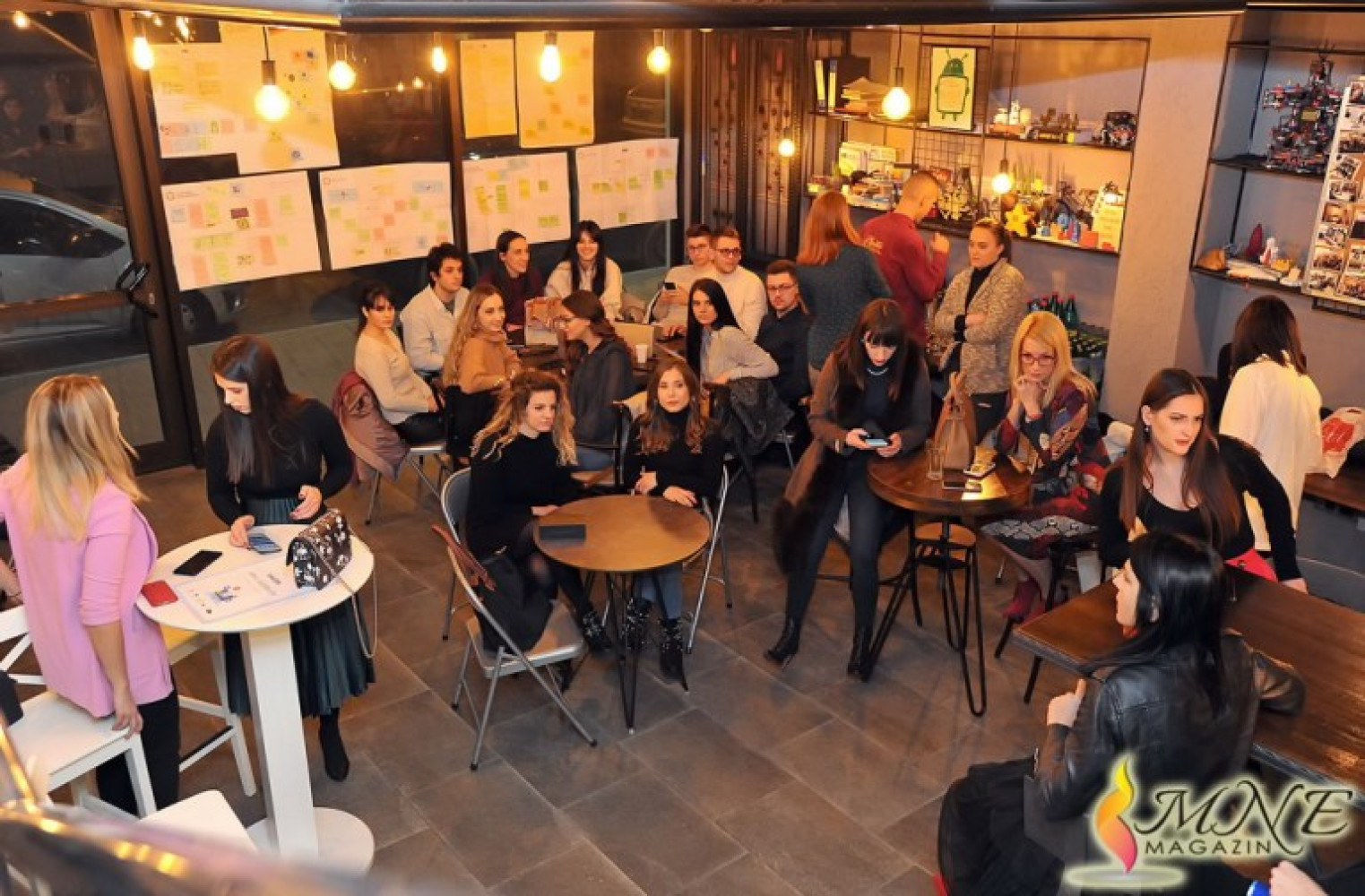 Univerzitet Crne Gore