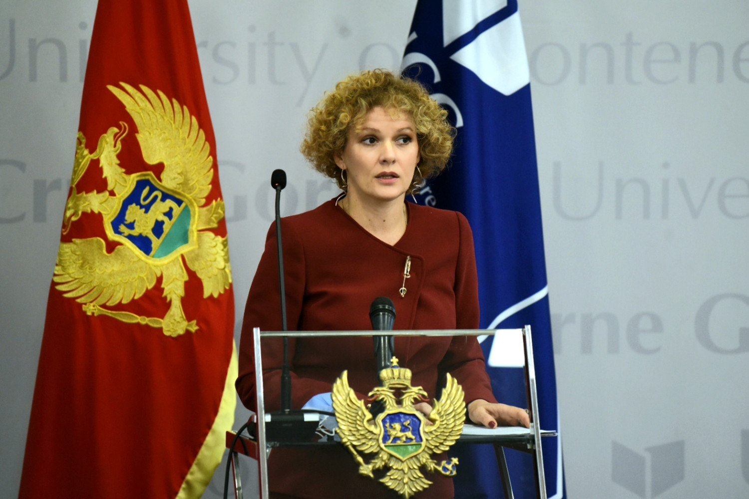 Univerzitet Crne Gore