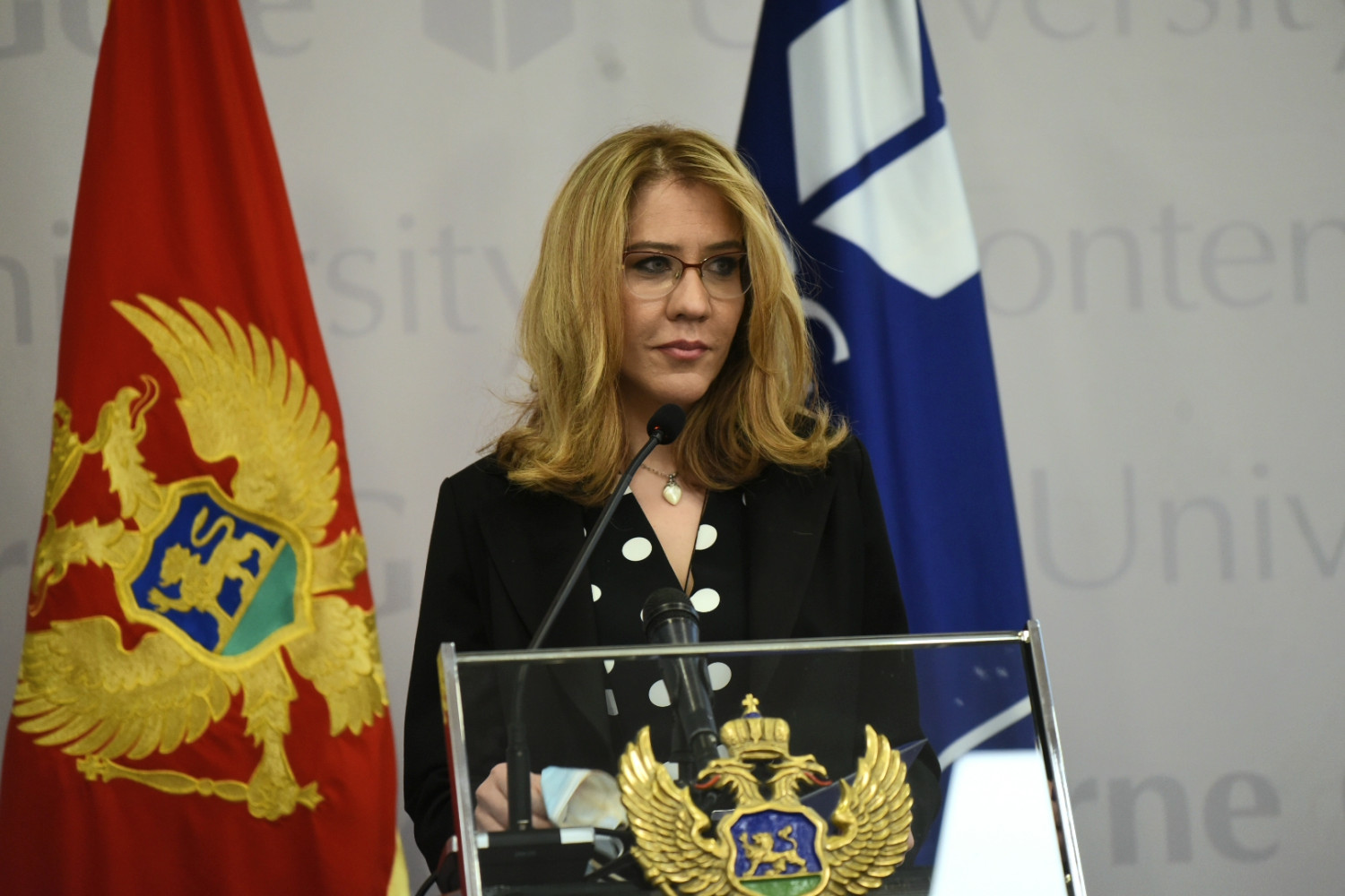 Univerzitet Crne Gore