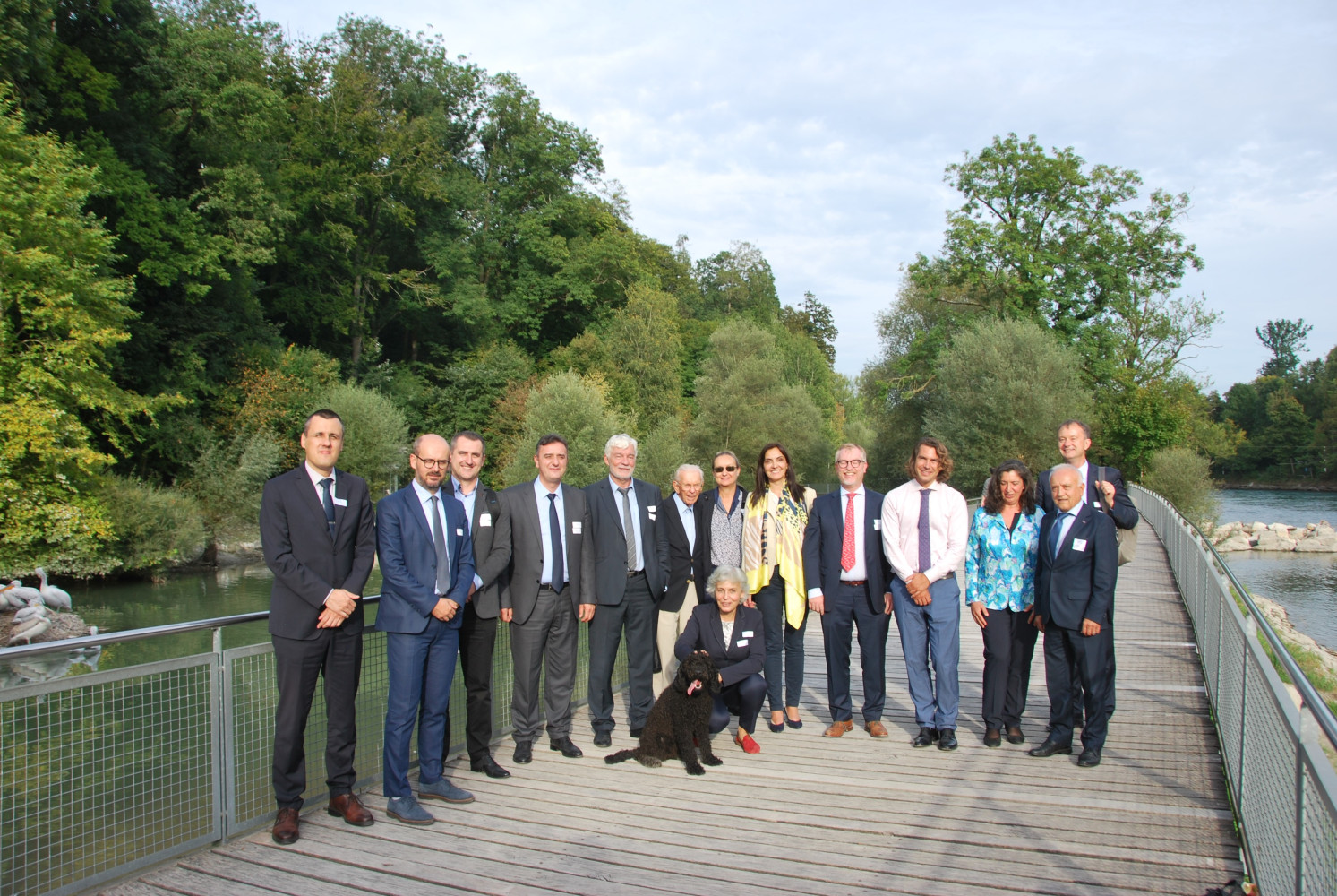 Univerzitet Crne Gore