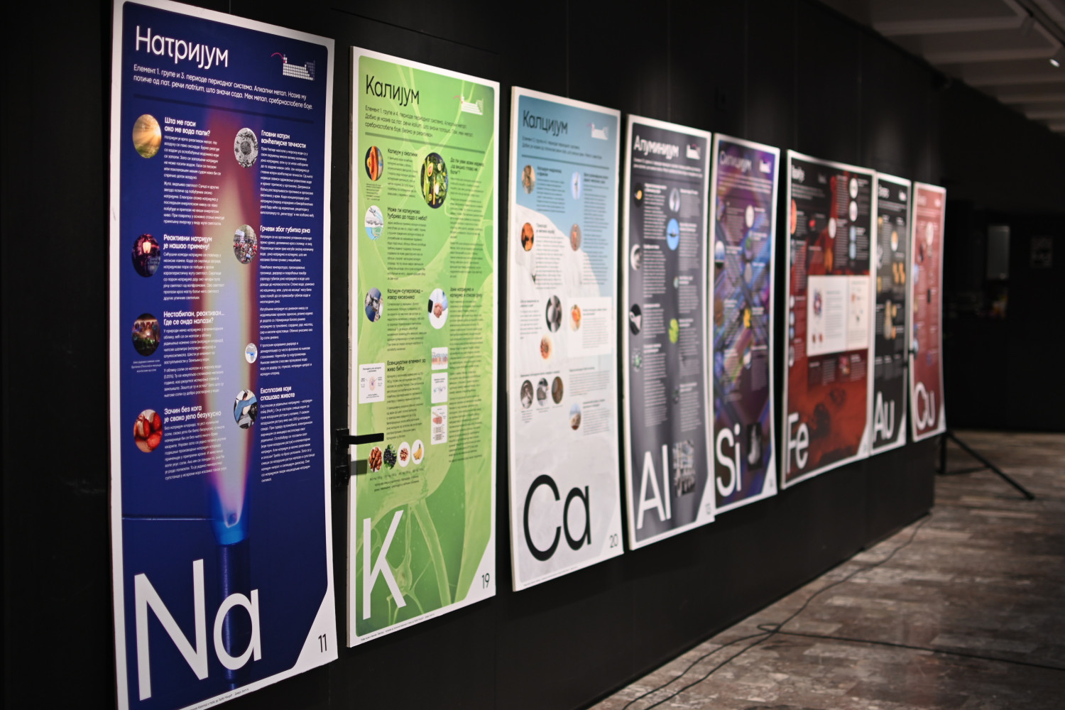 Univerzitet Crne Gore