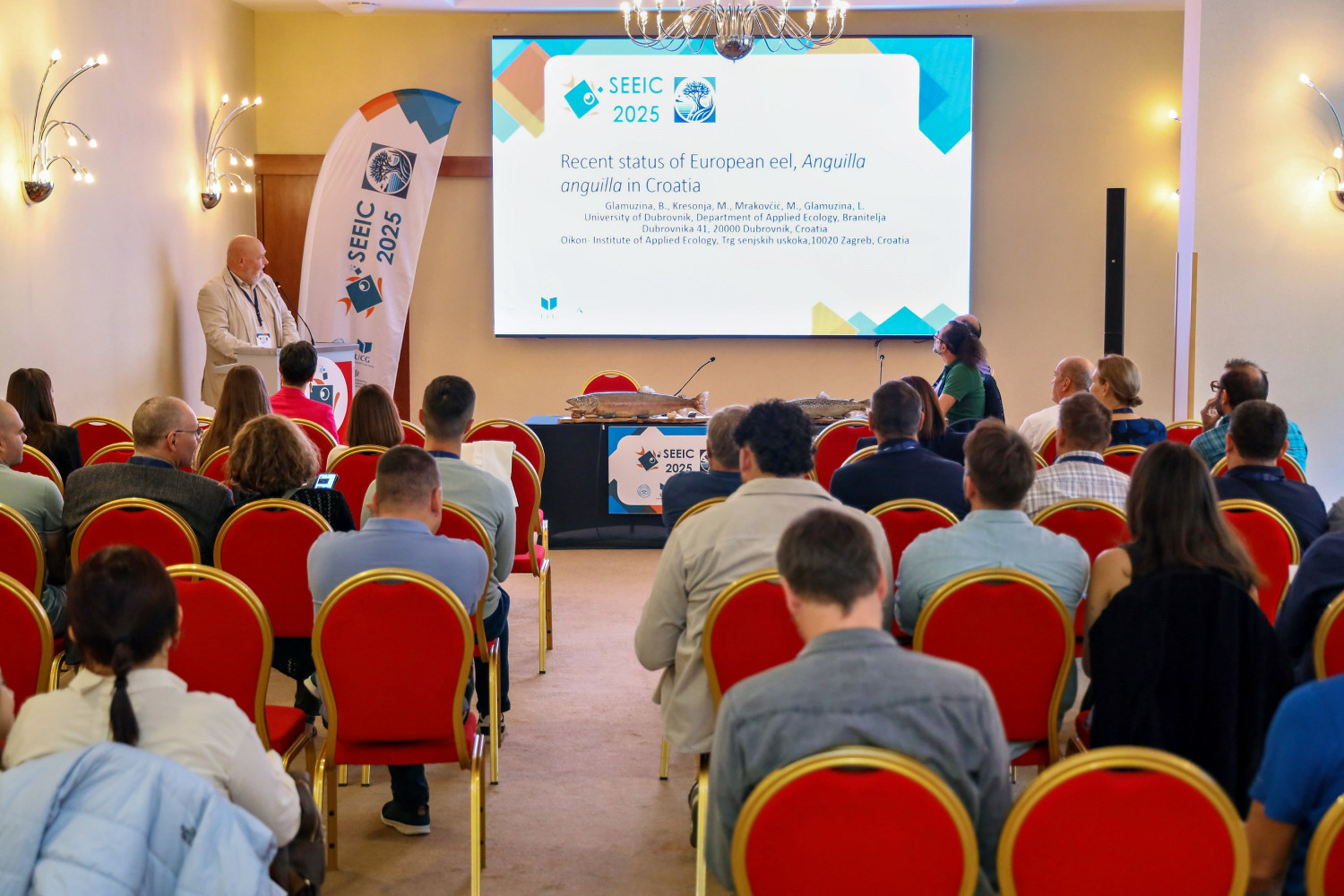 Univerzitet Crne Gore