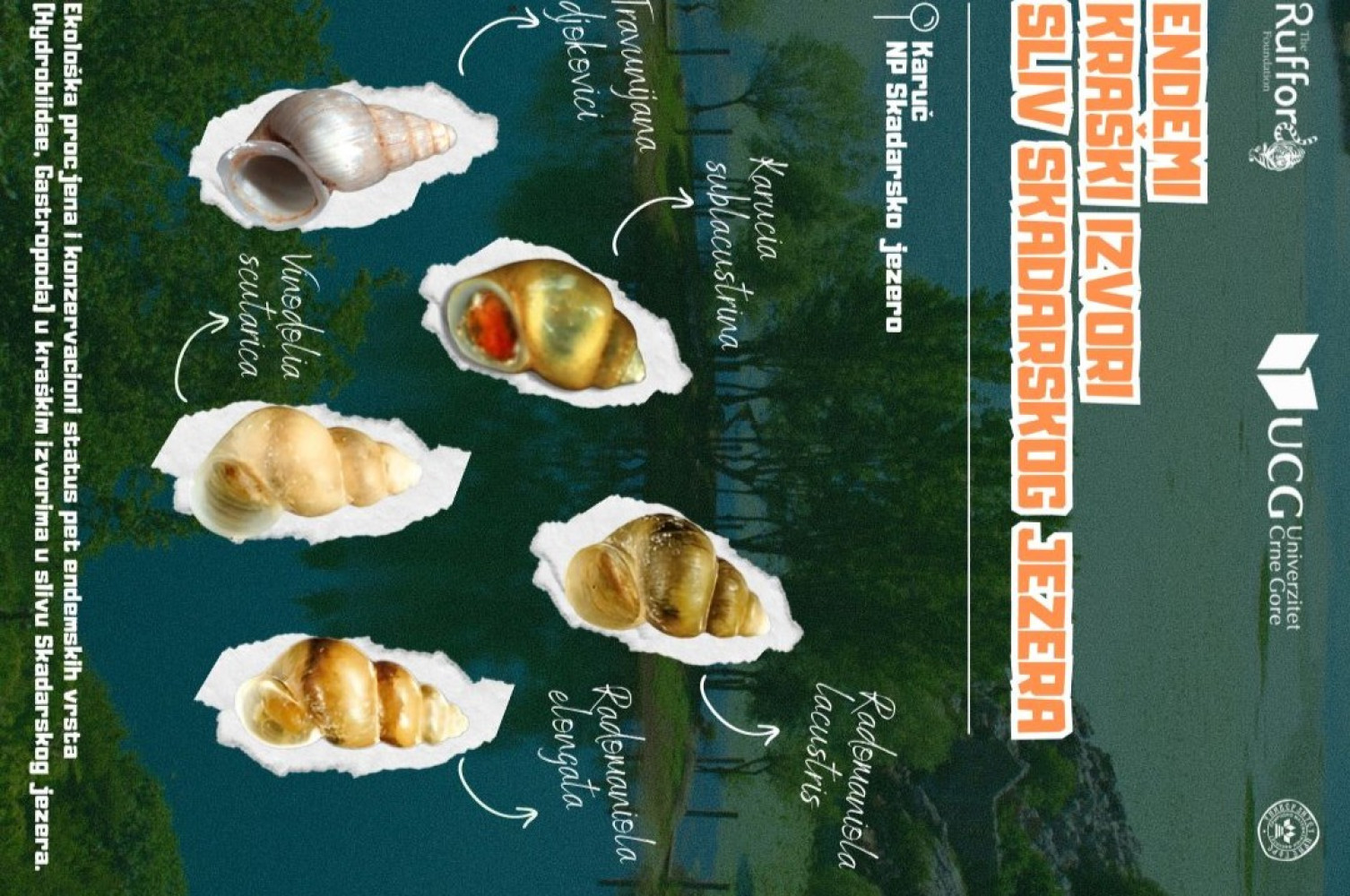 Univerzitet Crne Gore