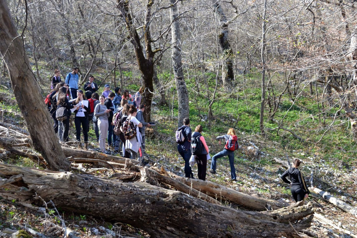 Univerzitet Crne Gore