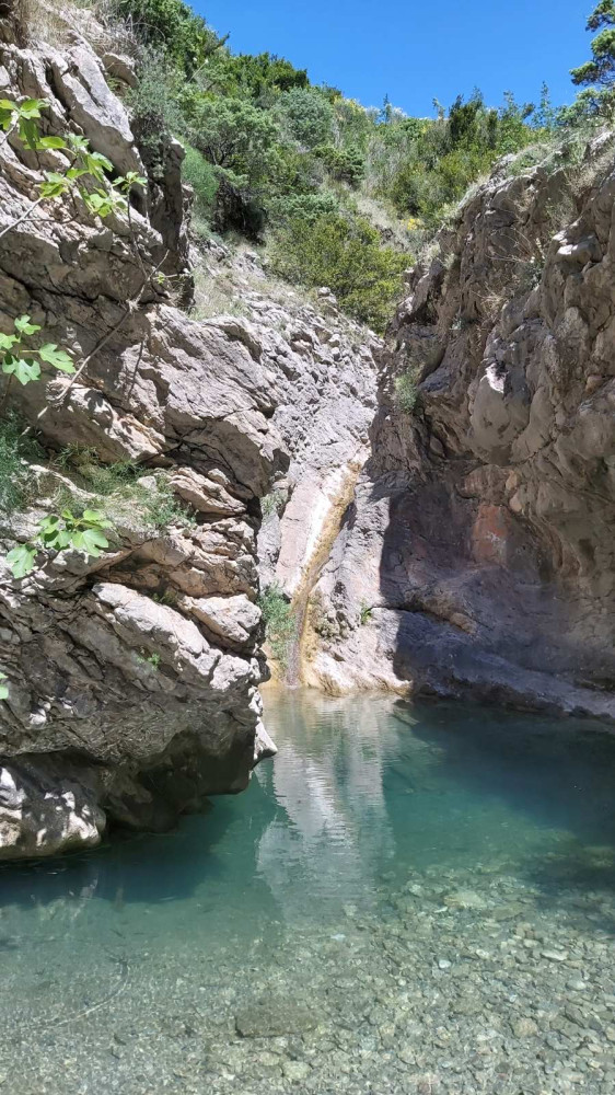 Univerzitet Crne Gore