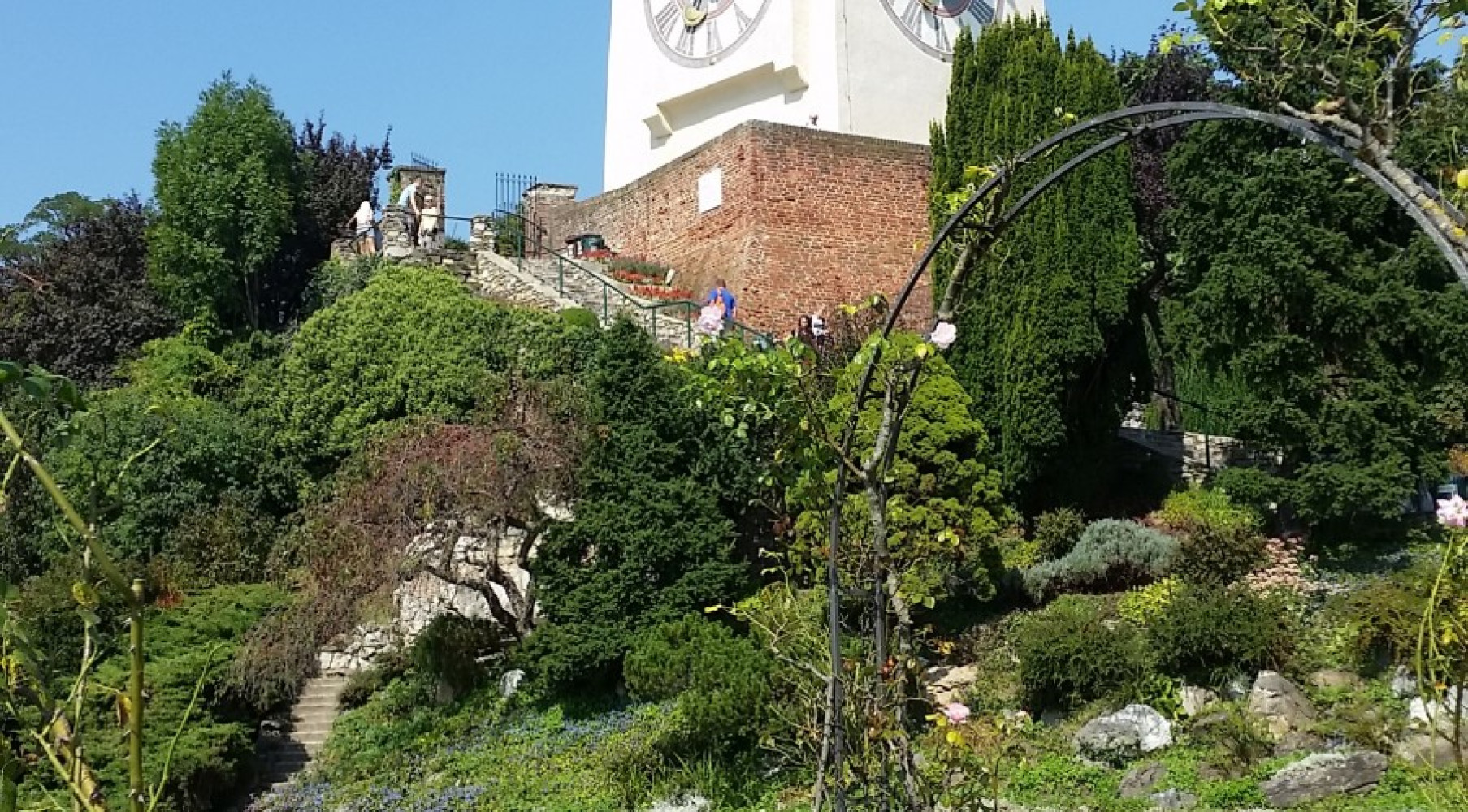 Univerzitet Crne Gore