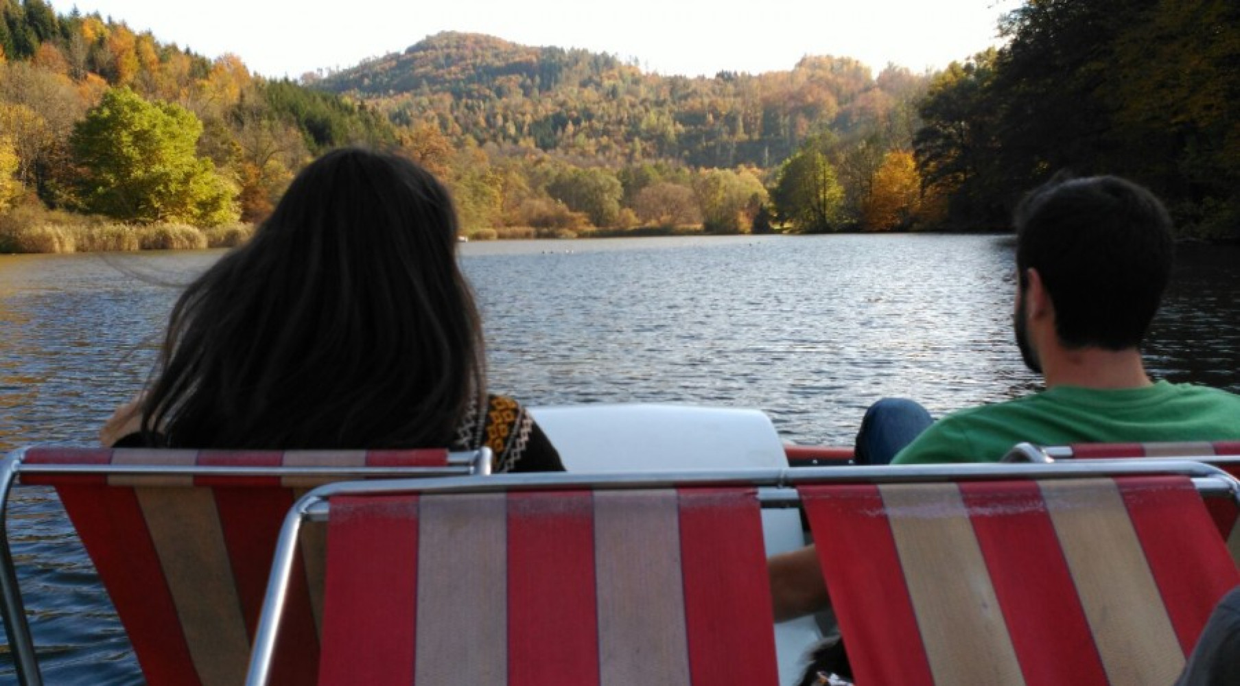 Univerzitet Crne Gore