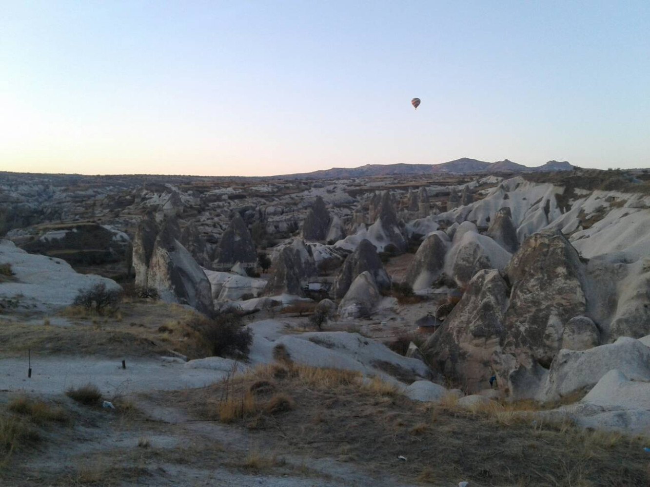 Univerzitet Crne Gore