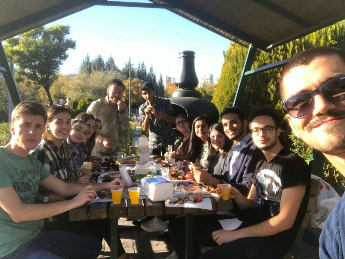 Univerzitet Crne Gore