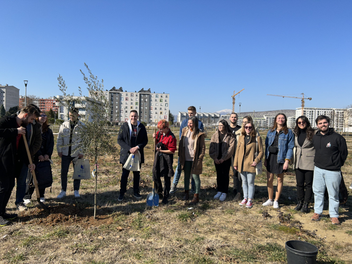 Univerzitet Crne Gore