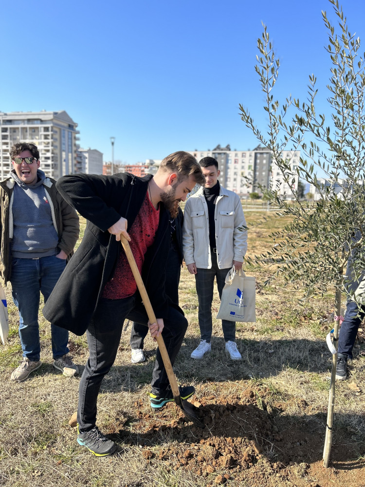 Univerzitet Crne Gore