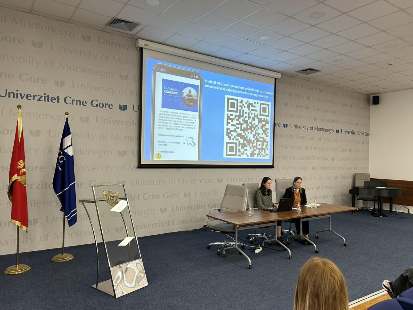 Univerzitet Crne Gore