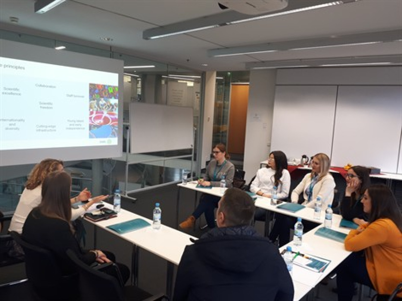 Univerzitet Crne Gore