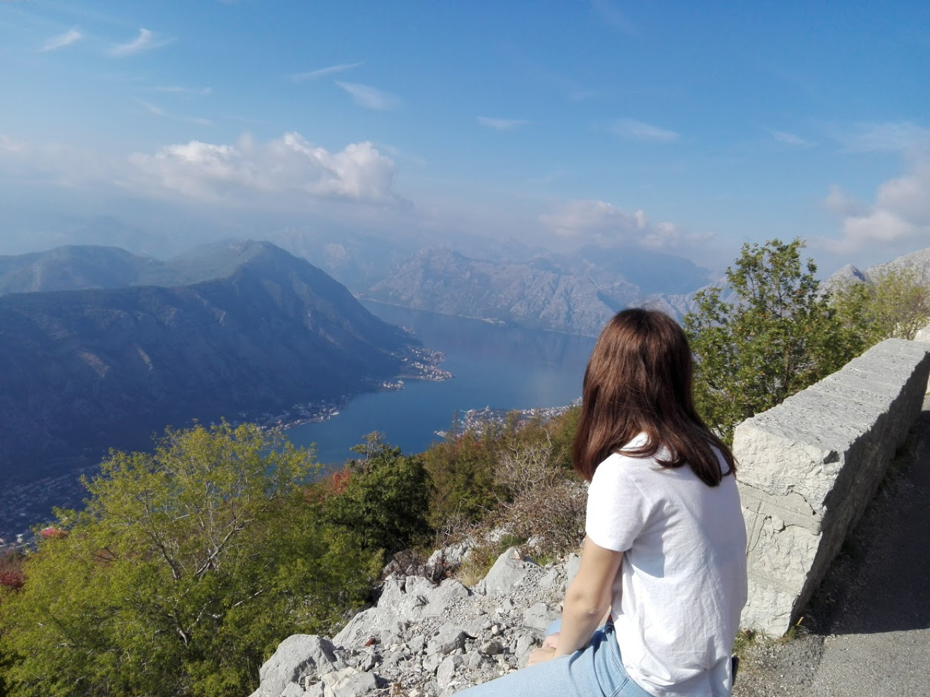 Univerzitet Crne Gore