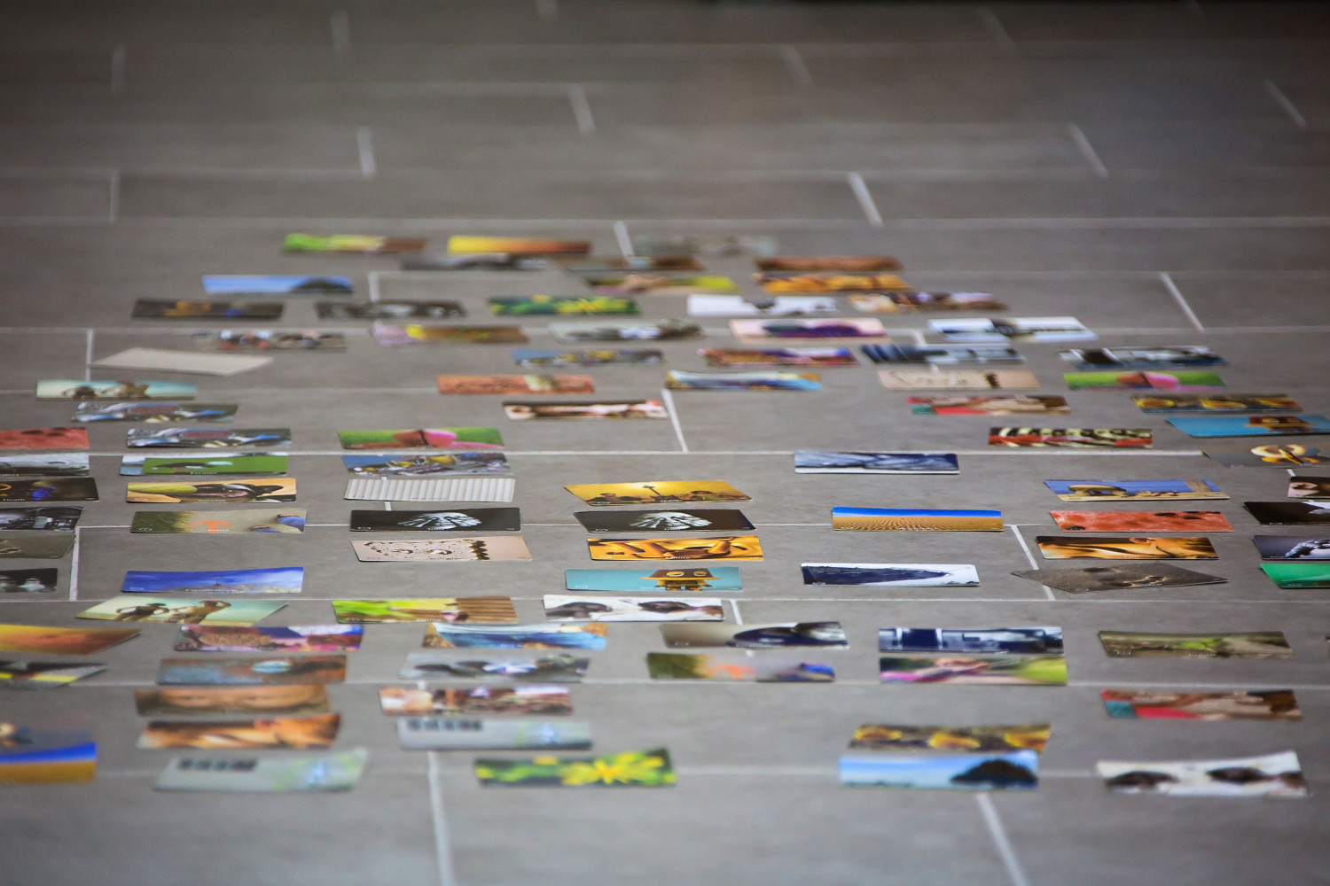 Univerzitet Crne Gore