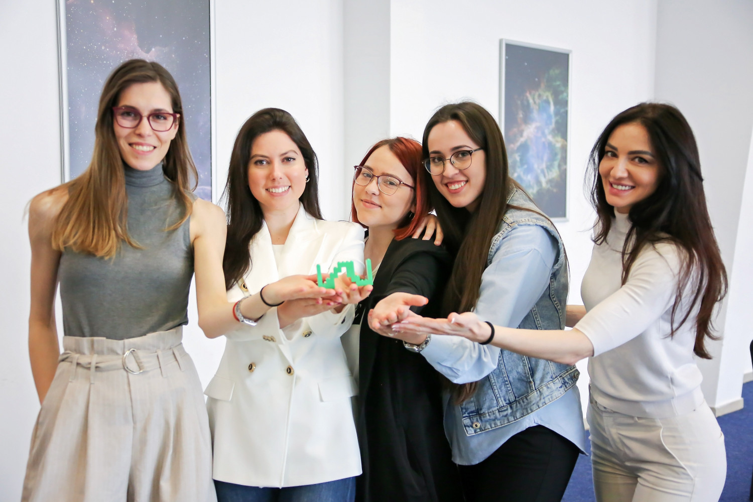 Univerzitet Crne Gore