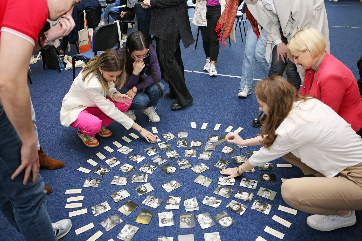 Univerzitet Crne Gore