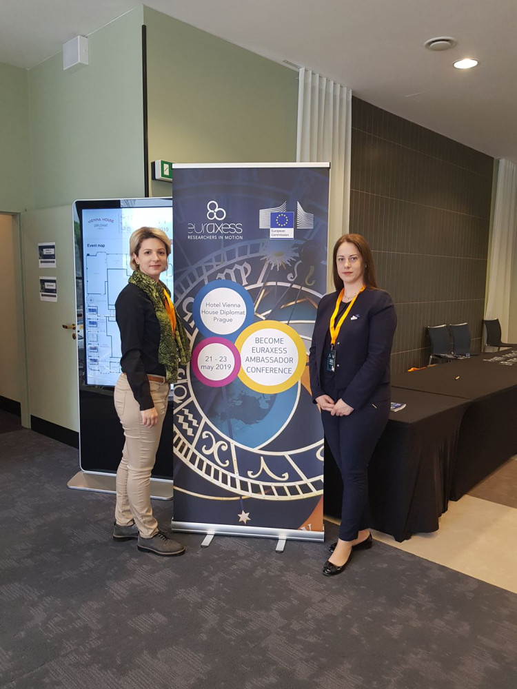 Univerzitet Crne Gore