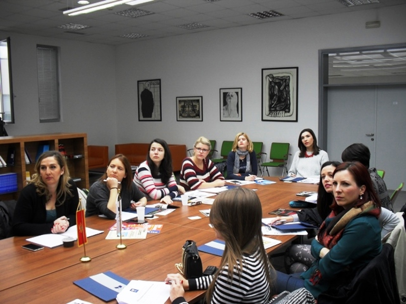 Univerzitet Crne Gore