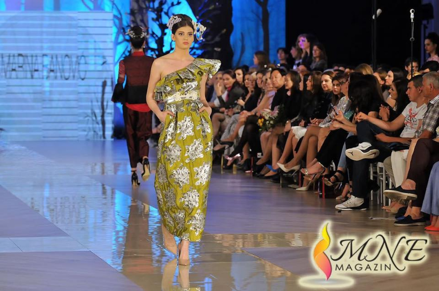 Univerzitet Crne Gore